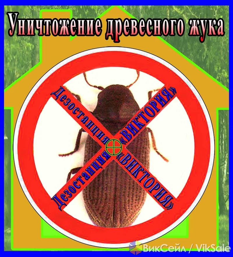 Уничтожение древесного жука (короеда) в Алматы и области
