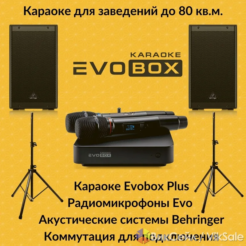 Караоке-комплект Evolution: акустика, микшер, микрофоны