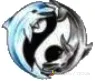 Транспортная компания AsDOLPHIN: грузоперевозки по России и Казахстану