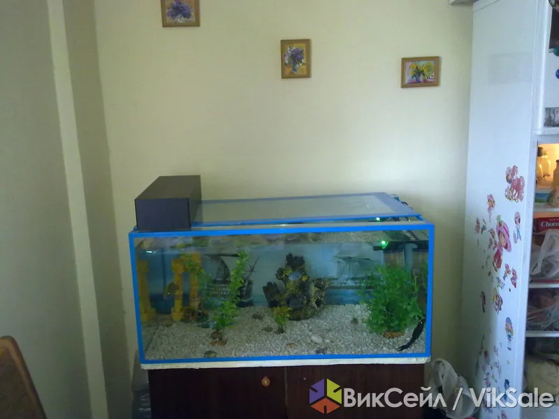 Аквариум 200 л с хищными рыбками и оборудованием