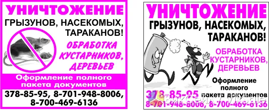 Уничтожение насекомых и грызунов в Моршанске