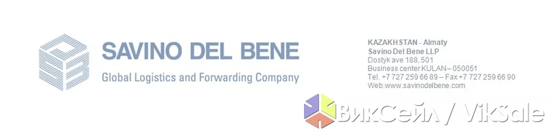 Международные грузоперевозки от Savino Del Bene