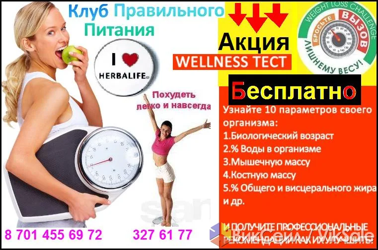 Клуб здорового образа жизни: бесплатный анализ тела