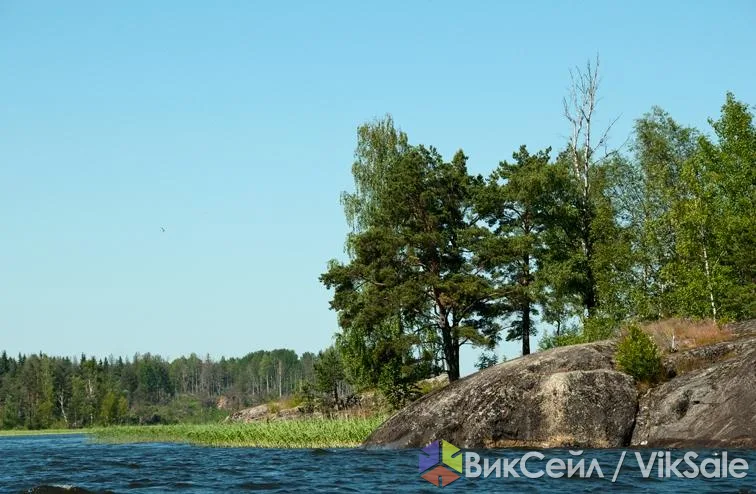 Фестиваль тренингов «Танец жизни» на Ладоге — развивающий отдых
