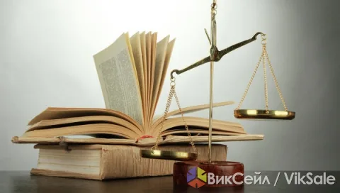 Юридические услуги: представительство в судах и госорганах